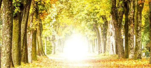 Bestattungshaus Stiefel GmbH